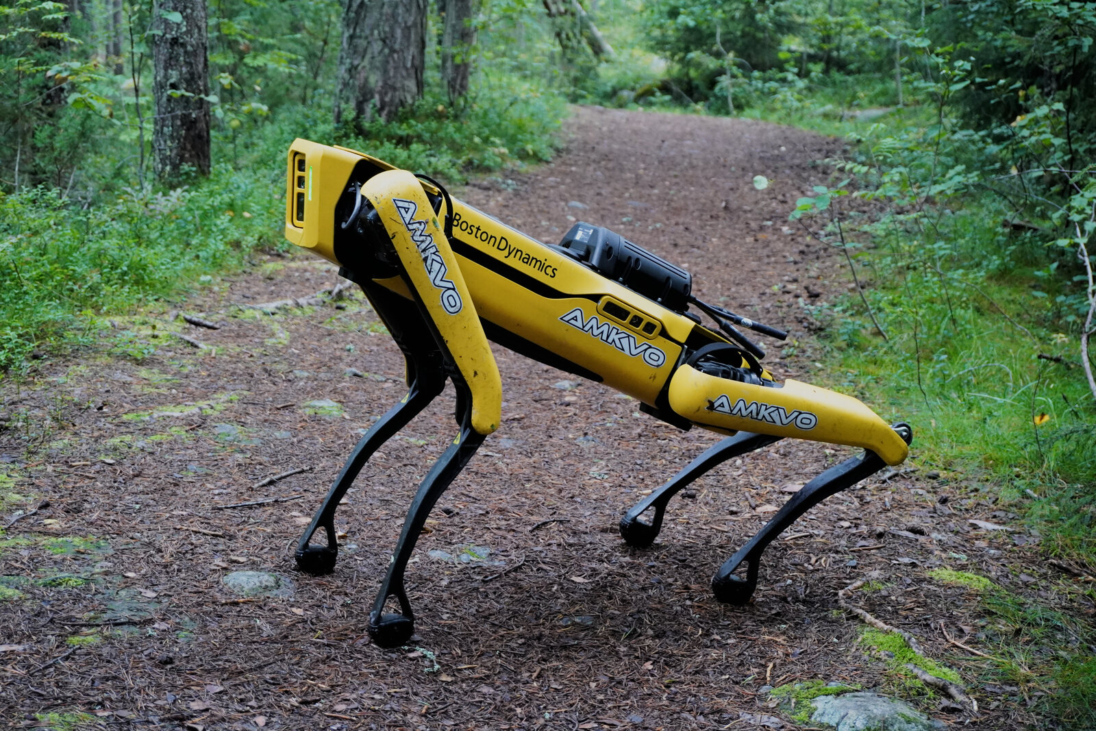A yellow Boston Dynamics Spot four-legged robot
