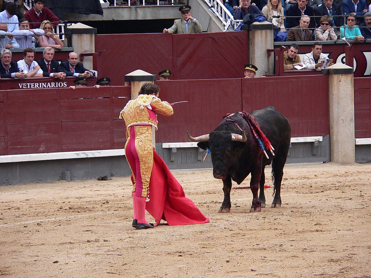bull jumps barrier Murcia Spain