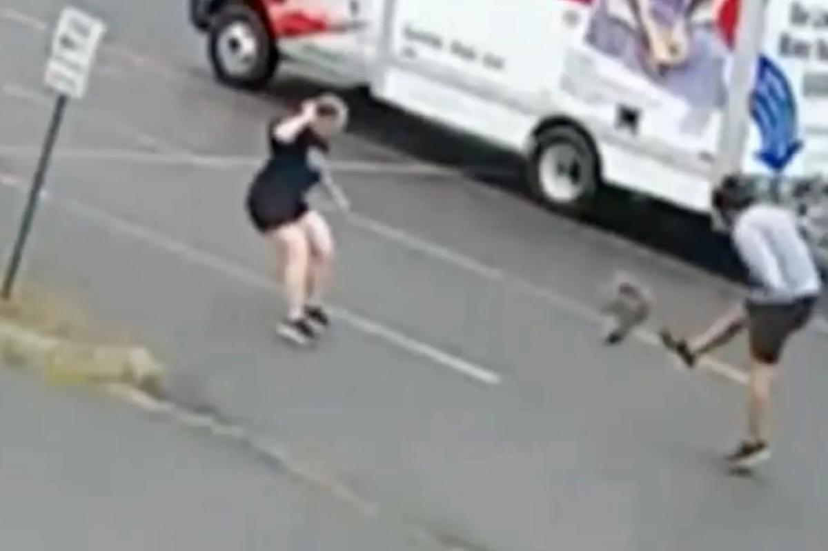 Surveillance image related to the aggressive mystery animal attacks in Lebanon New Hampshire