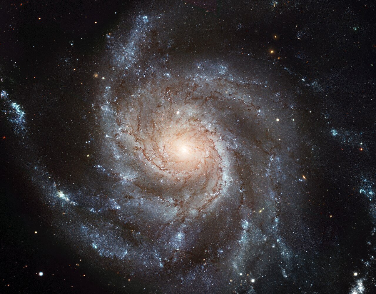 NASA Chandra mysterious X-ray objects