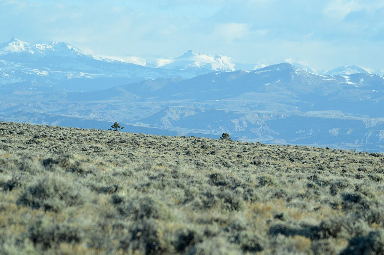 Northern Arapaho church removal