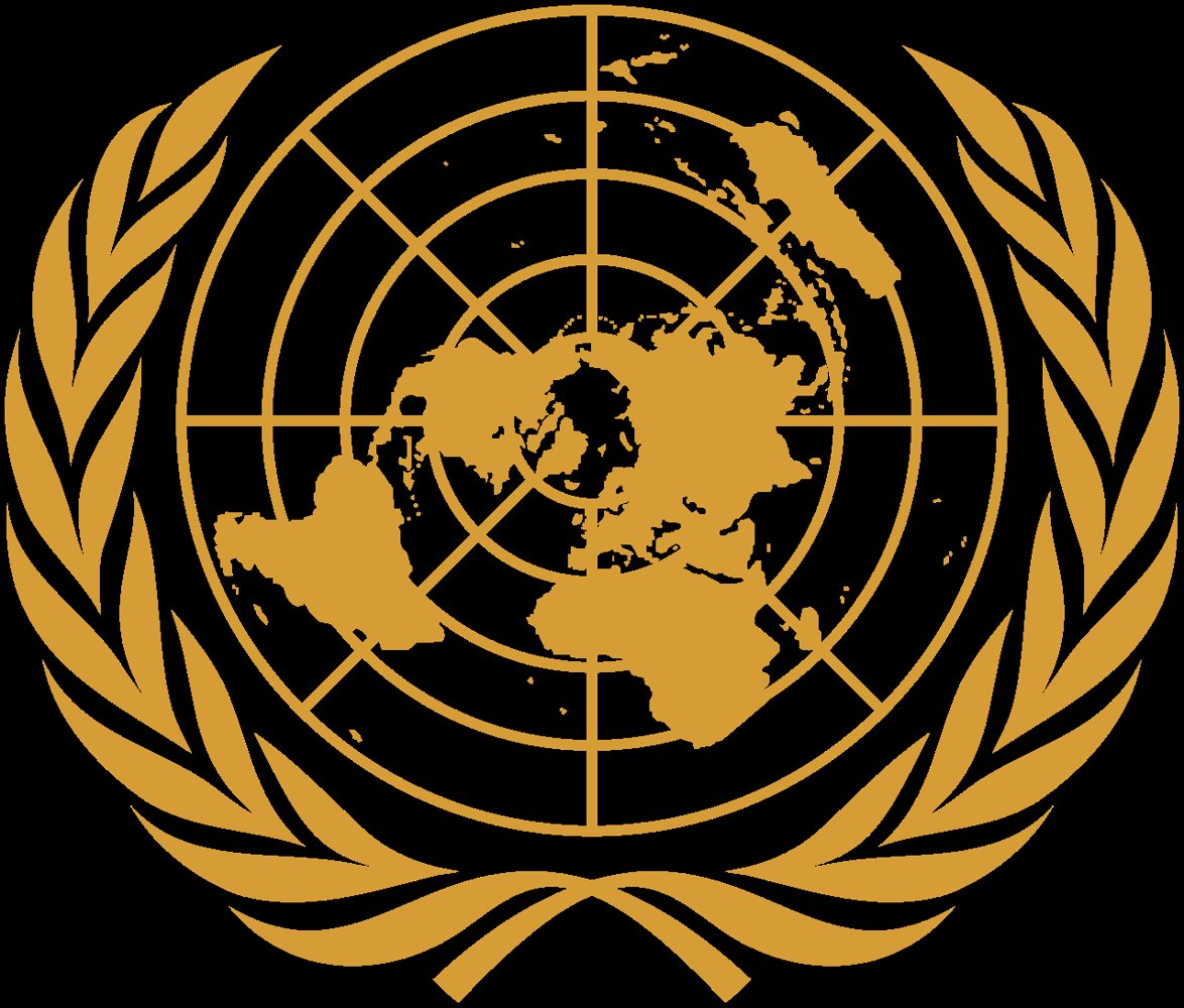 UN Security Council veto reform