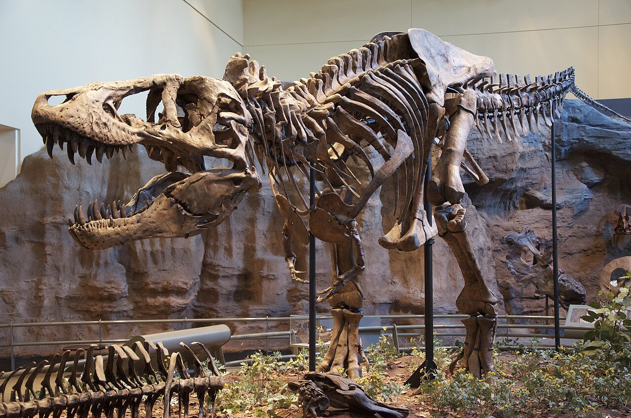 T rex body temperature study