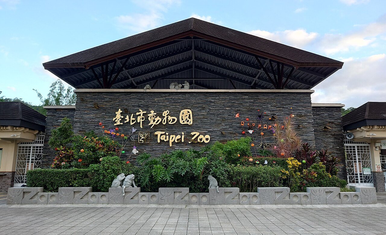 Taipei Zoo chimpanzees escape
