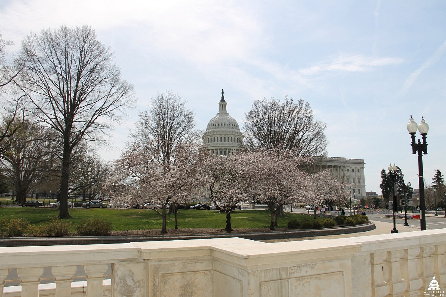 The United States Capitol building