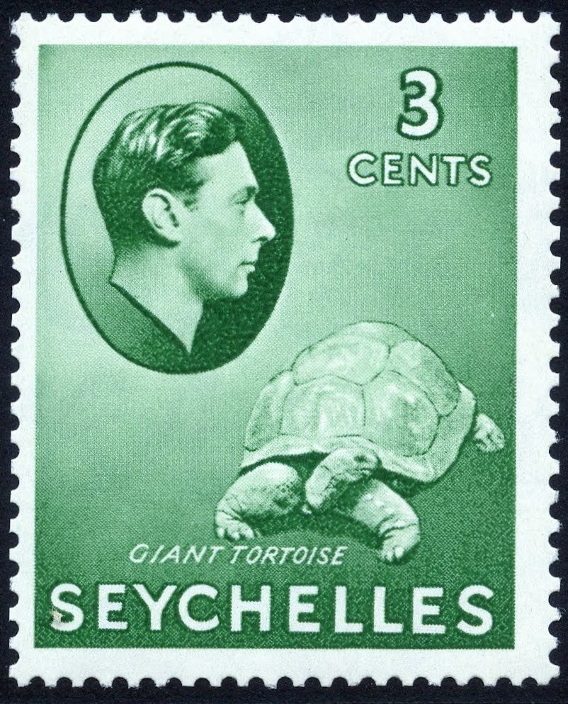 Aldabra giant tortoise in the Seychelles
