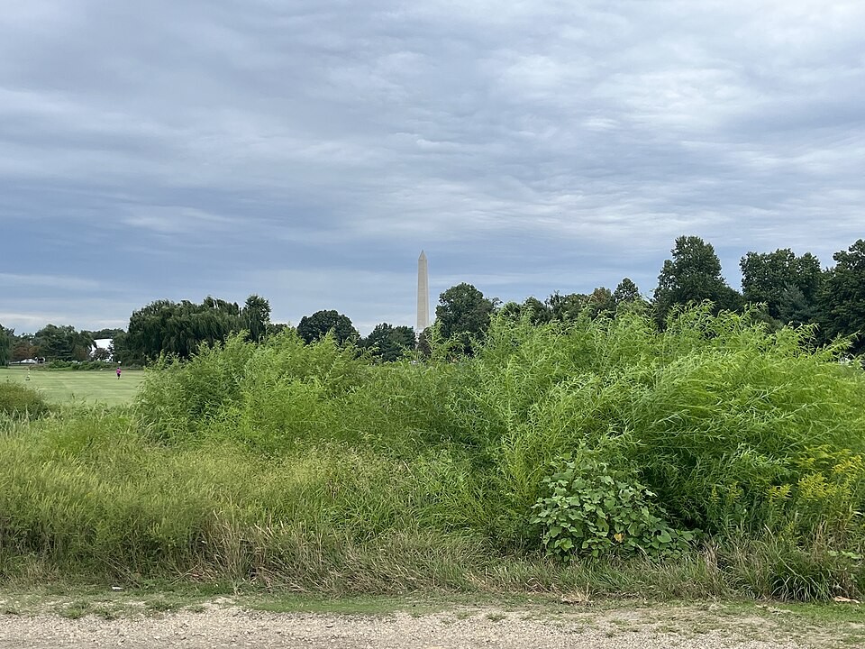 Washington Monument visible from East Potomac Golf Links in September 2023