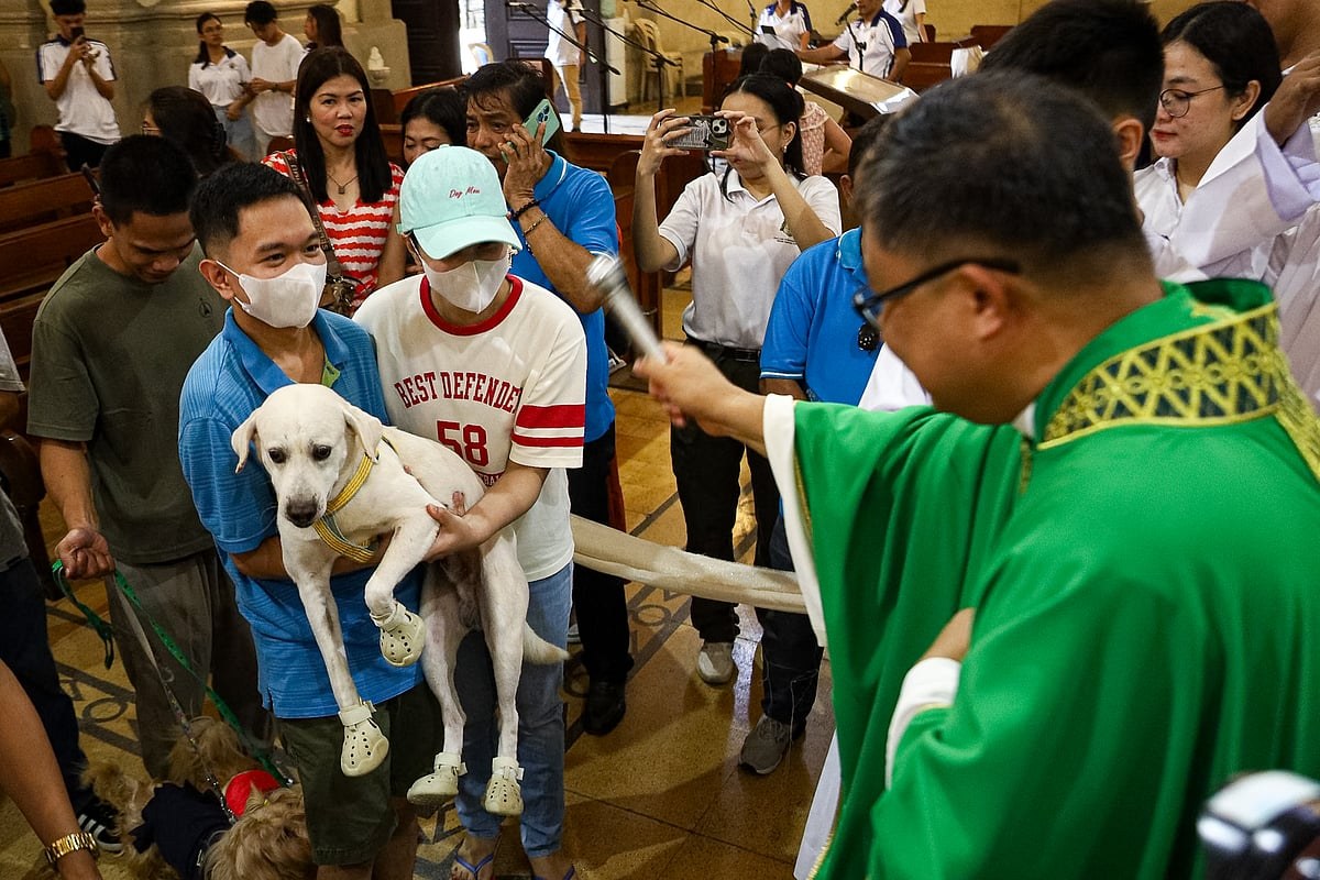 A Manila Church Blesses Dogs, Cats and One Snail, Because Grace Apparently Moves at Different Speeds