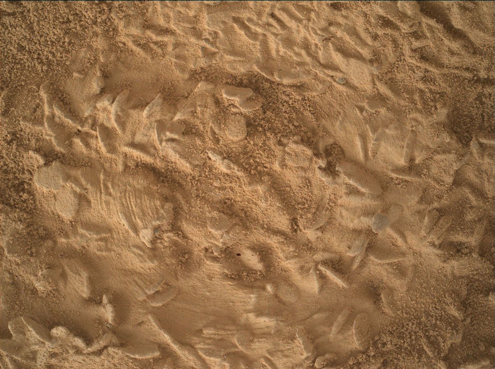 Curiosity MAHLI close-up photograph of the Nazca rock target, with small raised forms and brush scratches.