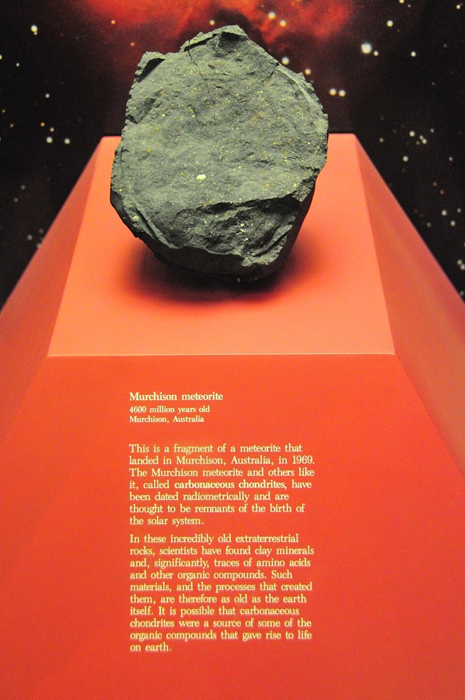 A Murchison meteorite specimen displayed at the National Museum of Natural History