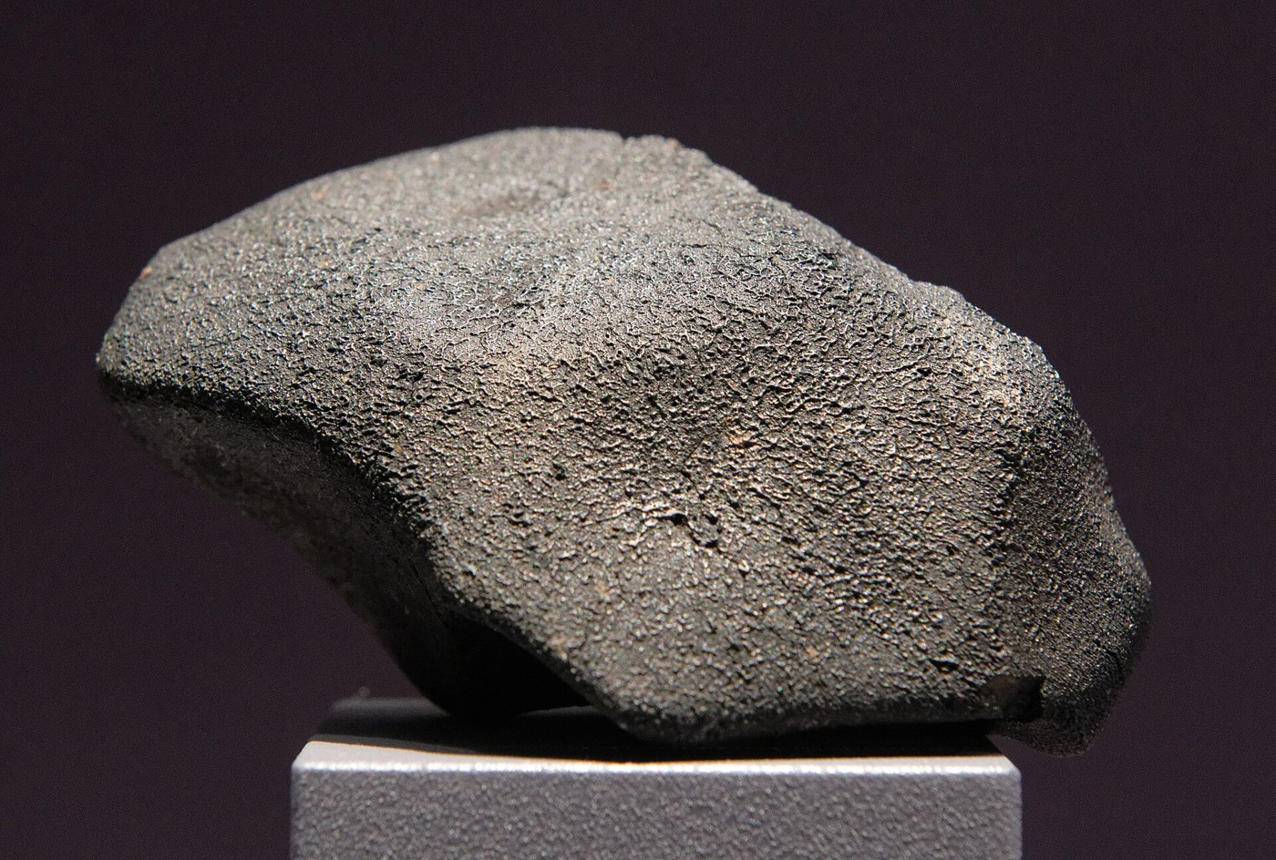 A displayed specimen of the Murchison meteorite