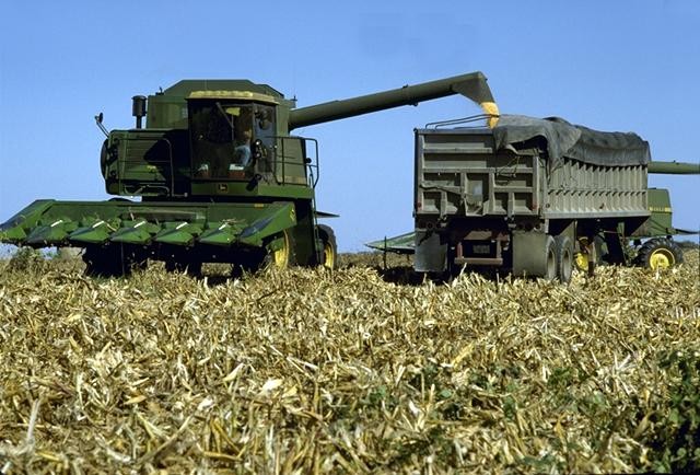 A combine harvester working in a cornfield in an archival USDA photograph